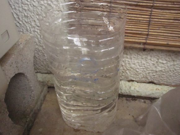 蚊取りペットボトル（※雨水のみ）を蚊が卵を産んで繁殖しそうな場所に置き仕掛ける