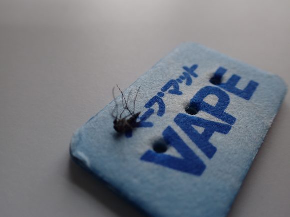 ベープマット（VAPE）シートの上でもがく害虫の蚊（カ）