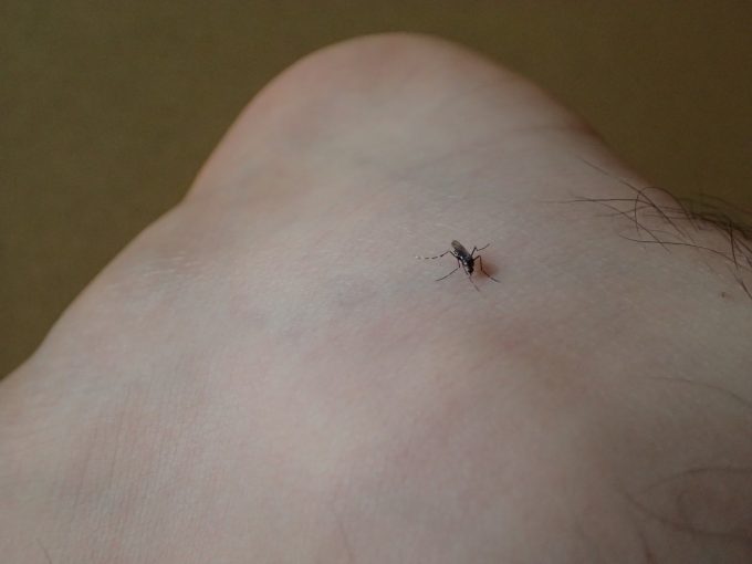 暑い夏はどうしても露出しがちな足が蚊に狙われやすい