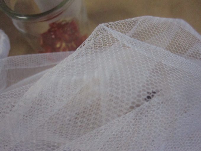 虫取り網の中でジッと唐辛子が切られる様子を見つめるヤブ蚊（ヒトスジシマカ）