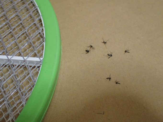 野外で近寄ってきたヤブ蚊を10数分で7匹も駆除・退治できた