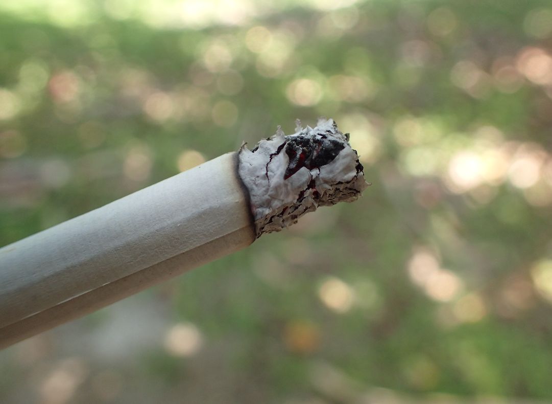 煙草（タバコ）に火を点けて吐いた煙で蚊よけを試す